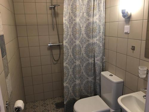 a bathroom with a shower with a toilet and a sink at Harmoonikum in Viimsi