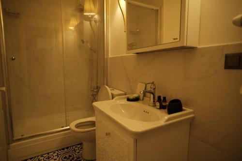 uma casa de banho com um lavatório, um WC e um chuveiro em MECİT KAPTAN KONAĞI em Kastamonu