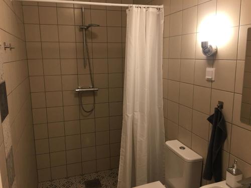 a bathroom with a shower curtain and a toilet at Harmoonikum in Viimsi