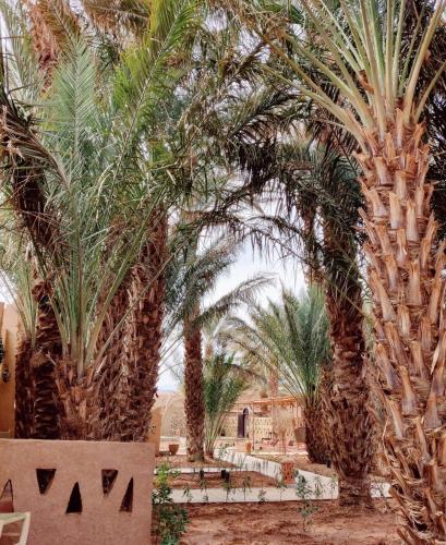 Zahrada ubytování Zagora Oasis Lodge