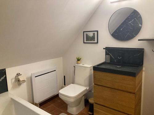 ein Badezimmer mit einem WC, einem Waschbecken und einem Spiegel in der Unterkunft Gîte ELIROSE in Rosult