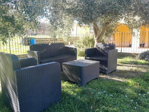 a group of wicker chairs and a table in the grass at Casal dei Colli in Amelia
