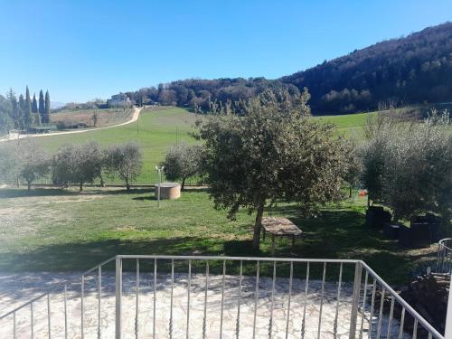 a view of a field with trees and a fence at Casal dei Colli in Amelia