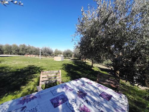 a table and two chairs sitting in a field at Casal dei Colli in Amelia