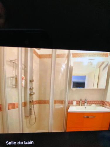 une salle de bain avec douche et lavabo dans l'établissement Appartement moderne et cosy, à Bonifacio
