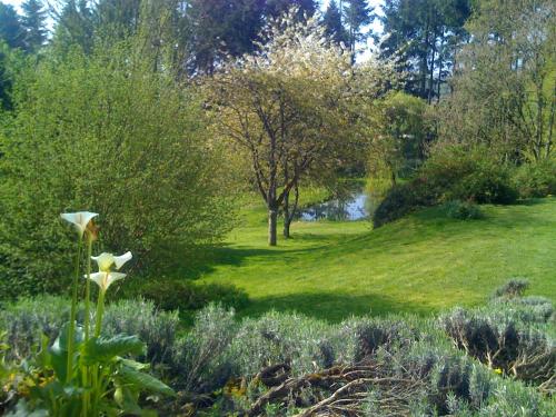 Photo de la galerie de l'établissement Le Beauvais, son gîte, ses chambres en Bourgogne, à Saint-Saulge