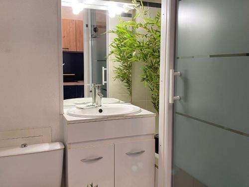 une salle de bain avec un lavabo et un miroir dans l'établissement Appartement T1 avec terrasse, tout équipé, proche commodités à Balaruc-les-Bains - FR-1-553-239, à Balaruc-les-Bains