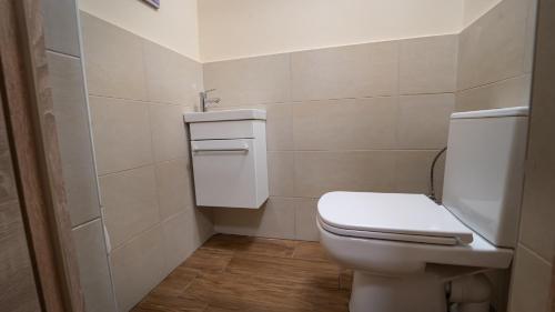 a bathroom with a white toilet and a sink at Palmy Home Dunakeszi in Dunakeszi