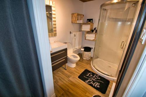 a bathroom with a toilet and a walk in shower at CHALET AUX MÉLÈZES AVEC SPA ET PISCINE CREUSÉ PRIVÉ in Beauceville