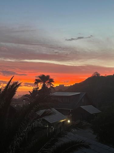 einen Sonnenuntergang mit einer Palme und einem Gebäude in der Unterkunft The Hideaway in Port Alfred