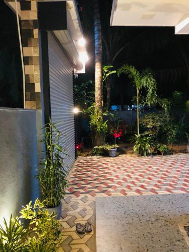 a courtyard at night with plants and lights at Devon Surf . Inn - Hiriketiya in Dickwella