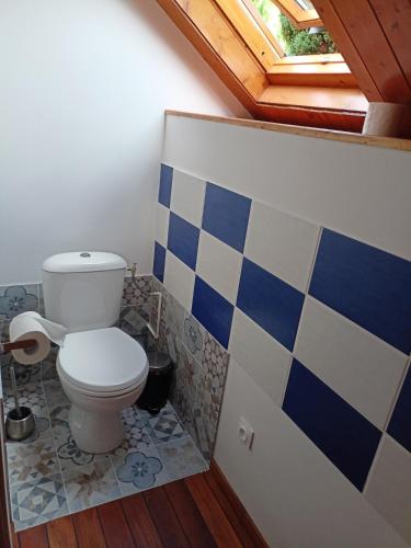 ein Badezimmer mit einem WC mit blauen und weißen Fliesen in der Unterkunft Chambre triple in Thorigné-sur-Dué