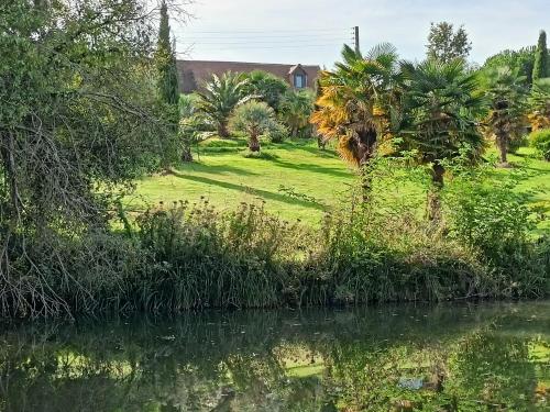 Blick auf einen Fluss mit Palmen und ein Haus in der Unterkunft Chambre triple in Thorigné-sur-Dué