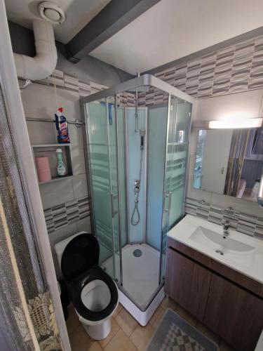 une salle de bain avec une douche, des toilettes et un lavabo dans l'établissement villa T2 cabine 500m de la plage, à Portiragnes