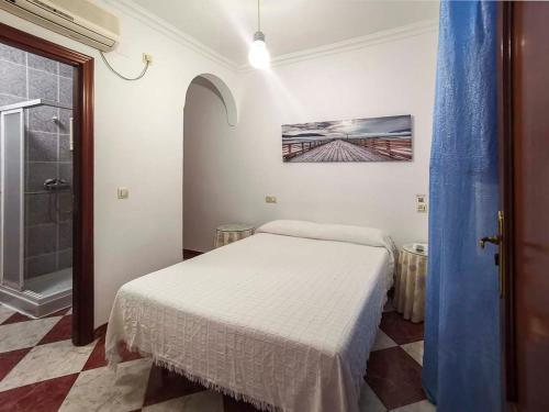 een slaapkamer met een bed en een inloopdouche bij Pension Hidalgo 1 in Utrera