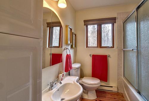 a bathroom with a white toilet and a sink at Chalet des bouleaux in Nominingue