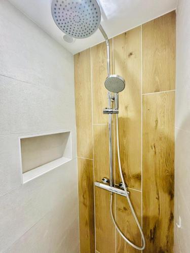 une douche avec pommeau de douche dans une salle de bain dans l'établissement Escapade Ensoleillé, à Saint-Jean-de-Monts