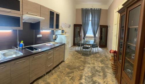 a kitchen with a sink and a table in it at Apartmán Kaiser in Prague