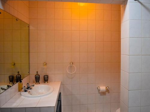 a bathroom with a sink and a shower at Serene Guest Manor in Johannesburg