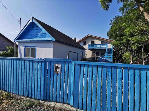Gallery image of Traditional House in Danube Delta in Sfântu Gheorghe