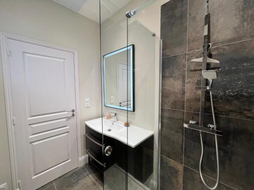 uma casa de banho com um lavatório e um chuveiro com um espelho. em Le Saint Nicolas~Hyper centre em Blois