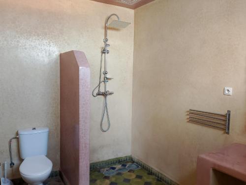 a bathroom with a toilet and a shower at Riad & Restaurant Ocean Beach Douira in Agadir