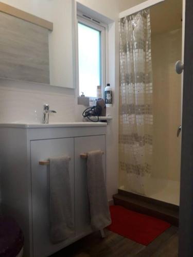 La salle de bains est pourvue d'un lavabo, d'une douche et de serviettes. dans l'établissement Chalet charmant aux Bréviaires avec terrasse et barbecue, à Les Bréviaires