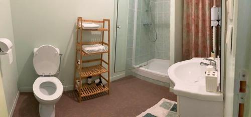 een badkamer met een toilet, een wastafel en een douche bij Morvan Séjours in Antully