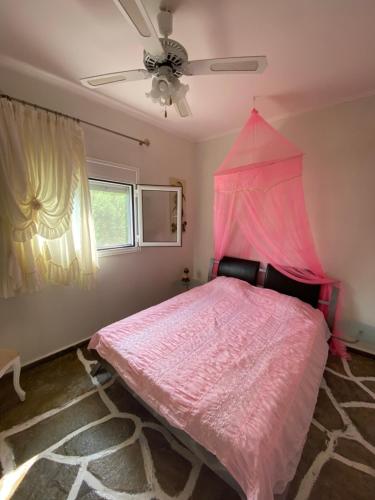 ポリフロノにあるMaria's beach houseのベッドルーム1室(ピンクベッド1台、天蓋付)