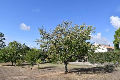 a tree in the middle of a yard at Maison à 6 km de Eymet piscine chauffée. in Roumagne