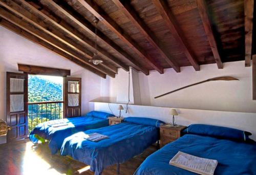 1 Schlafzimmer mit 2 blauen Betten und einem Fenster in der Unterkunft 4 bedrooms house with shared pool and wifi at Granada in Montefrío