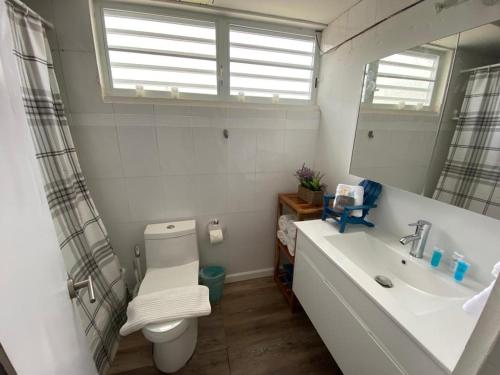 a bathroom with a toilet and a sink and a mirror at KASA Ocean Breeze - Cabana Studio Apartment BEACHFRONT CONDO POOL in San Juan