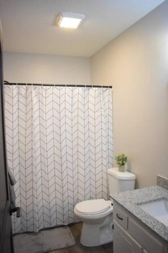 a bathroom with a toilet and a shower curtain at Arctic 415 in Grand Rapids