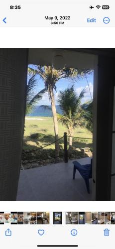 una imagen de una palmera en Oceanfront Luxury 2Br Villa en Saint Philip