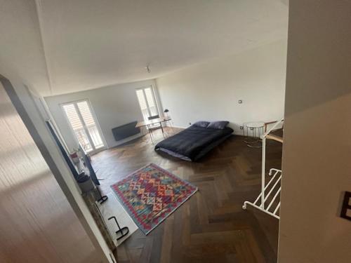 - un salon avec un lit au milieu d'une pièce dans l'établissement Appartement centre-ville d'Evian les Bains, à Évian-les-Bains