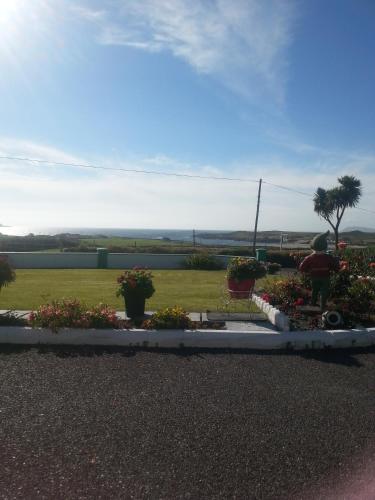 a garden with flowers and a palm tree in the background at Beach View Bed & Breakfast in Allihies