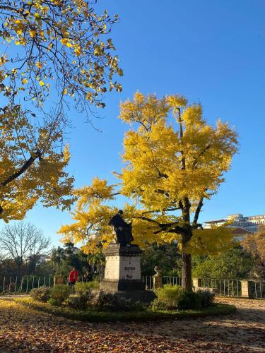 a statue in front of a tree with yellow leaves at Unique Experience in Coimbra