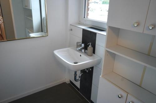 a bathroom with a sink and a mirror at Charmantes Maisonette-Appartment in Cologne