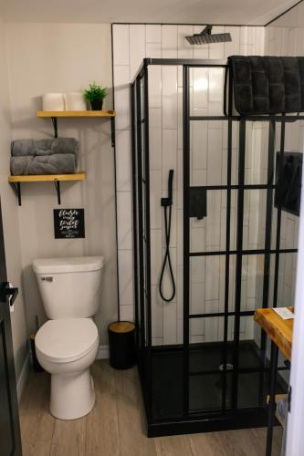 a bathroom with a toilet and a shower at Island Beach Hideaways in Pomquet