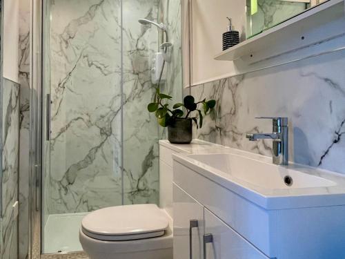 Un baño con ducha, inodoro y lavabo. en Lake Villa Holiday Cottages, en Holsworthy