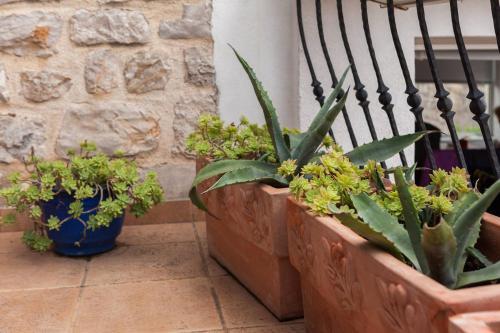 three potted plants sitting next to a wall at Harbour Holiday Home "Vilmin Dvor" in Murter