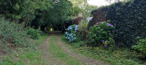 a dirt road with flowers and a hedge at Camping Vieilles Charrues Petit-déjeuner navette et priscine inclus dans le prix proche Carhaix in Motreff
