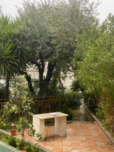 una panchina in un giardino con un albero di Central house with beautiful garden ad Amman