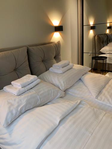 Apartman Kiš Kraljevi Čardaci – Photos 4