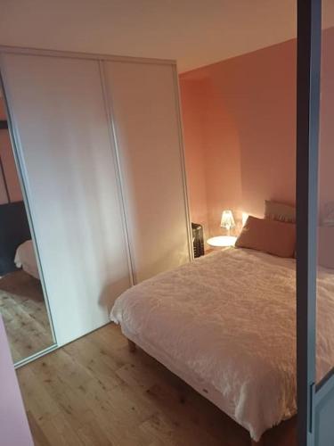 a bedroom with a bed and a mirror at Au cœur du 5ème de Paris in Paris