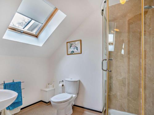 a bathroom with a toilet and a shower at 2 bed in Gower 40480 in Dunvant