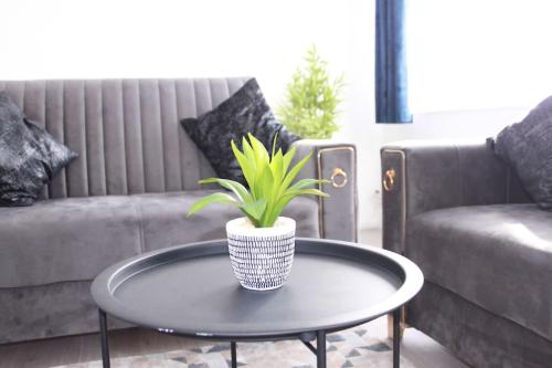 a potted plant sitting on a table in a living room at Stunning 3 bedrooms Entire flat in Harlow, Essex in Harlow