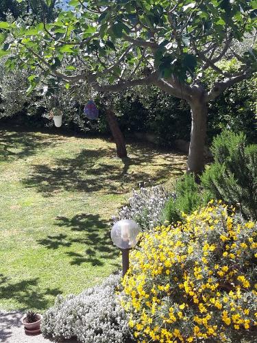 Κήπος έξω από το B&B L'Albero Di Antonia