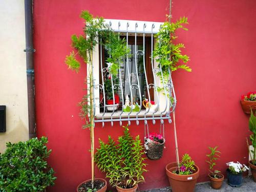 a red wall with a window with potted plants at One bedroom appartement with jacuzzi and wifi at Sant'Ippolito in SantʼIppolito