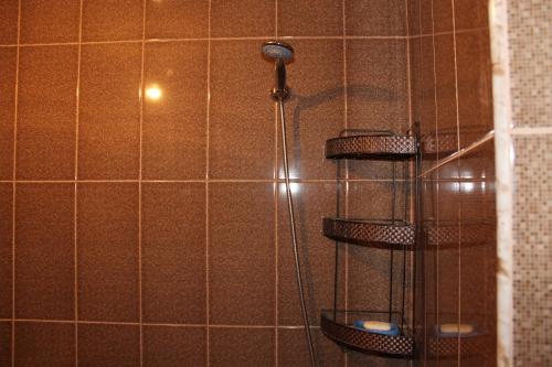 a shower with two shelves in a bathroom at Hillside Guesthouse in Borjomi